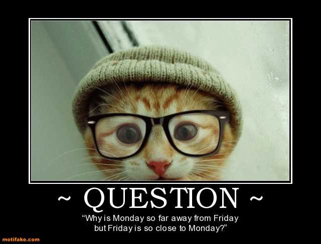 question-monday-friday-question-weekend-demotivational-posters-1343611278.jpg
